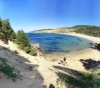Discover a rare and unique plant in the world in Tunisia