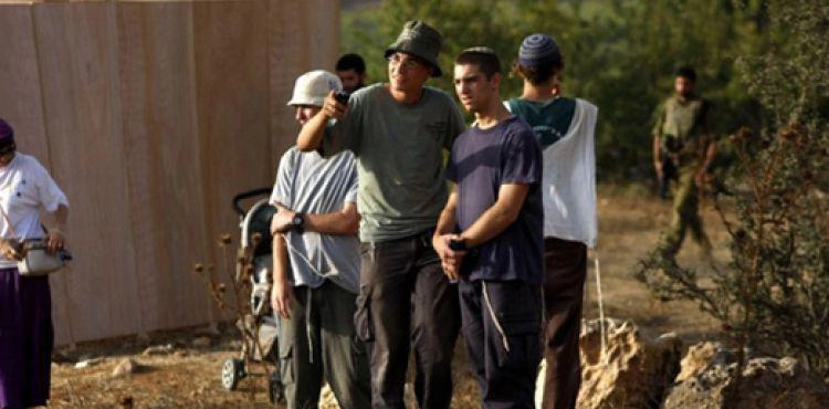 Settlers raze land south of Bethlehem