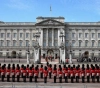 Mice invade Queen Elizabeth&acute;s kitchen