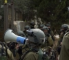 Israeli occupation arrests 7 Palestinians from the West Bank