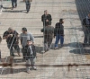 Continuing medical violations against sick prisoners in &quot;Raymond &quot; and &quot;Negev &quot; detainees