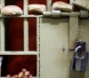 More than 20 prisoners begin a strike with prisoners