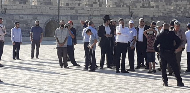 Dozens of settlers storm Al-Aqsa