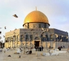 Warnings of storming the Al-Aqsa Mosque on the first day of Eid al-Adha