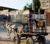Turkish Relief distributes sacrificial meat to orphans and the poor in Gaza