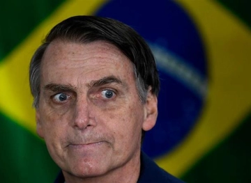 The President of Brazil proposes to reduce the entry of pigeons to protect the environment