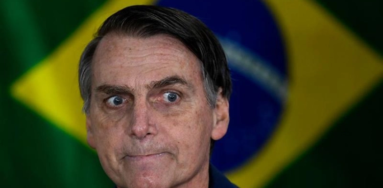 The President of Brazil proposes to reduce the entry of pigeons to protect the environment