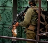 Israeli forces arrest 8 citizens