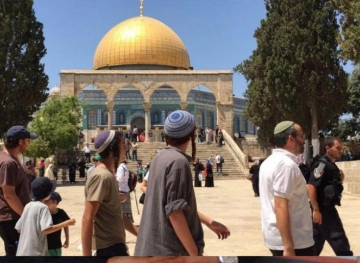 Joint List: What is happening in Jerusalem is an inevitable direct result of the policies of the occupation