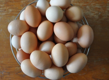 A British woman almost lost her sight because of a recipe from the Internet for boiling eggs