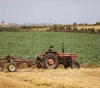 Gaza: Occupation targets fishermen, farmers and sheep herders