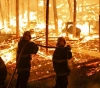 Palestine ready to cooperate in the face of the fire &quot;Amazon&quot;