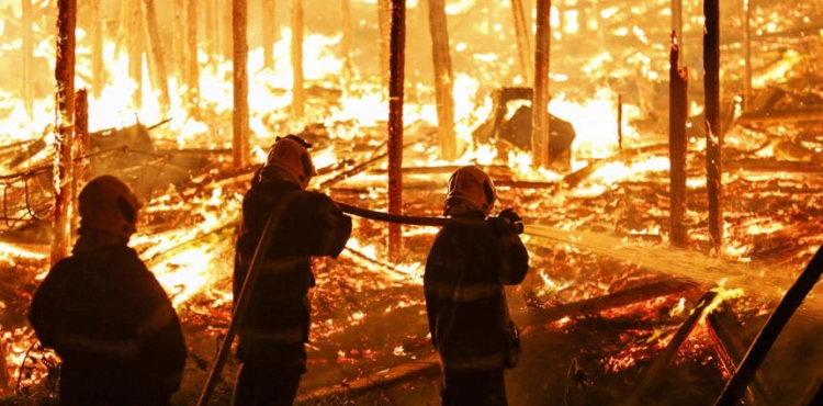 Palestine ready to cooperate in the face of the fire &quot;Amazon&quot;