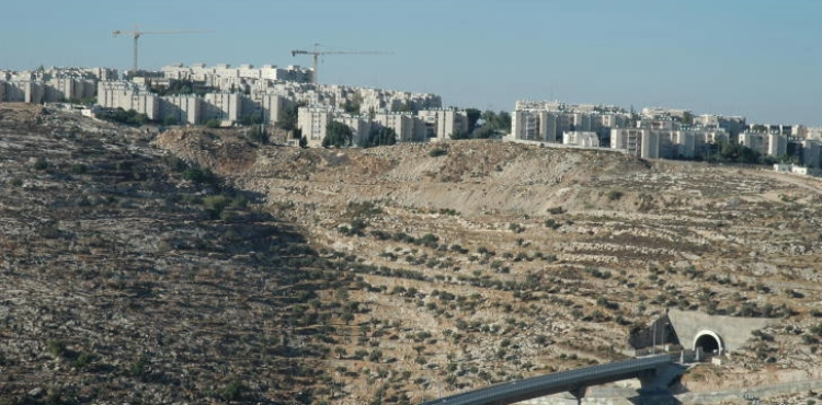 Settlers attack farms south of Bethlehem