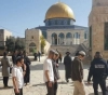 Settlers storm Al-Aqsa under the protection of the Israeli police