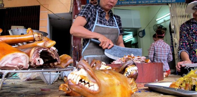 A Vietnamese city urges its residents not to eat dog meat to improve the image of the country