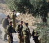 Settlers protected by Israeli soldiers storm the &quot;Khirbet Taqwa archaeological&quot; east of Bethlehem