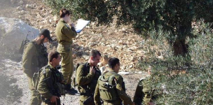 Settlers protected by Israeli soldiers storm the &quot;Khirbet Taqwa archaeological&quot; east of Bethlehem