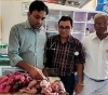An Indian gives birth to a baby girl with four legs and three arms.