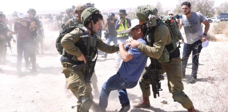 Occupation assaulted a sit-in near the Dead Sea