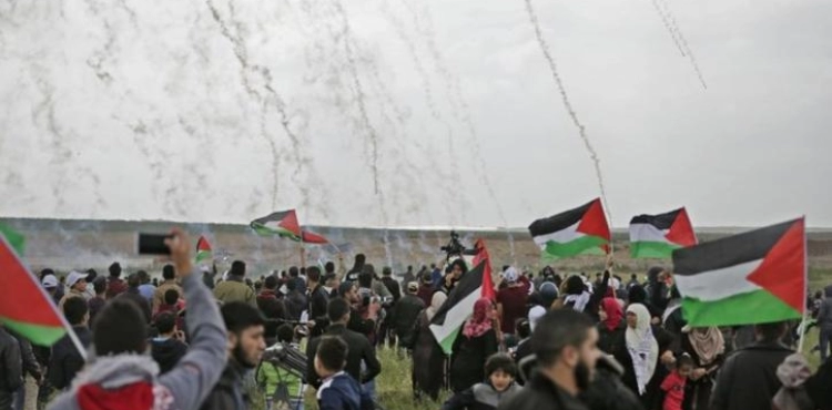 Committee calls on the United Nations to oblige the occupation to stop targeting demonstrators