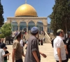 28 thousand settlers stormed Al-Aqsa in the past &quot;Hebrew year &quot;