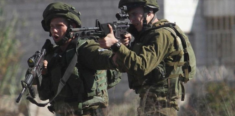 Israeli forces arrest youth, shoot at Gaza border