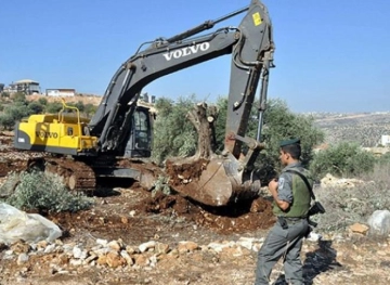 The Israeli occupation forces swept 22 dunums of cultivated land north of Beit Jala