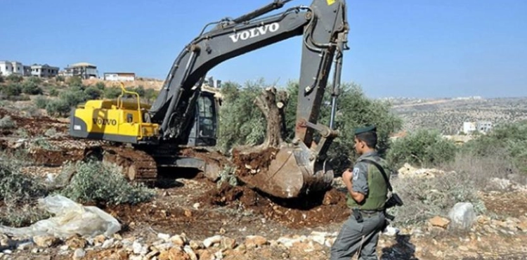 The Israeli occupation forces swept 22 dunums of cultivated land north of Beit Jala