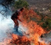 Many injures and burned 450 olive trees attacked by settlers in Burin