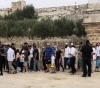 754 settlers storm Al-Aqsa