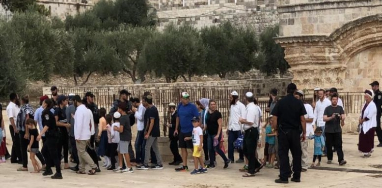 754 settlers storm Al-Aqsa