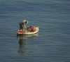 Gaza: Occupation targets and pursues fishermen