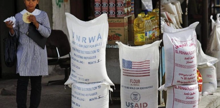 80% of Gazans depend on humanitarian aid