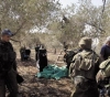 The occupation continues to expel the olive pickers from their lands in Qaryut