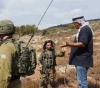 The occupation forces detain farmers while they pick olives south of Nablus