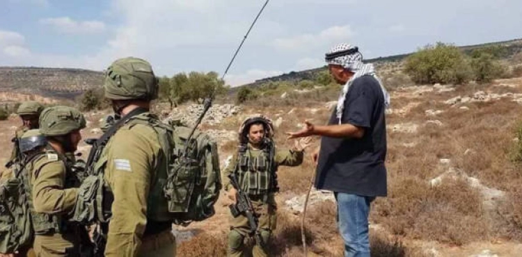 The occupation forces detain farmers while they pick olives south of Nablus