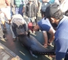 Catching a fish weighing 160 kg off the coast of Gaza