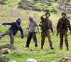 Nablus: 3 citizens were injured and olive trees were destroyed in the attack