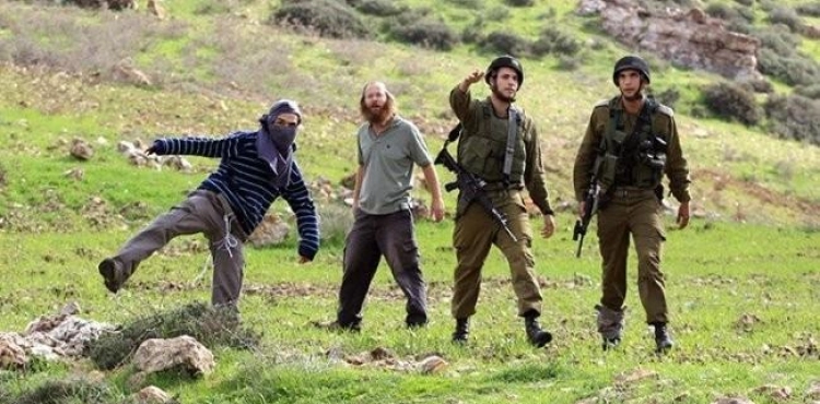 Nablus: 3 citizens were injured and olive trees were destroyed in the attack
