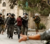 West Bank: 15 detainees and confiscation of money and weapons