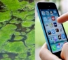 A new system connected to a mobile phone to detect harmful algae in water