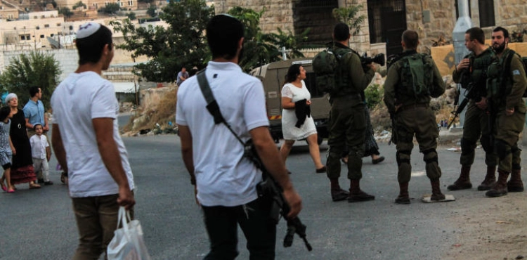 8 Injuries in Settlers Attacks South of Hebron