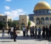 103 settlers and 87 Jewish students stormed al-Aqsa