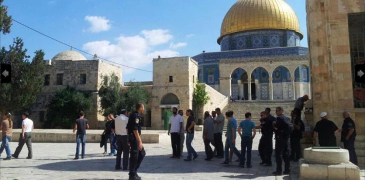 103 settlers and 87 Jewish students stormed al-Aqsa