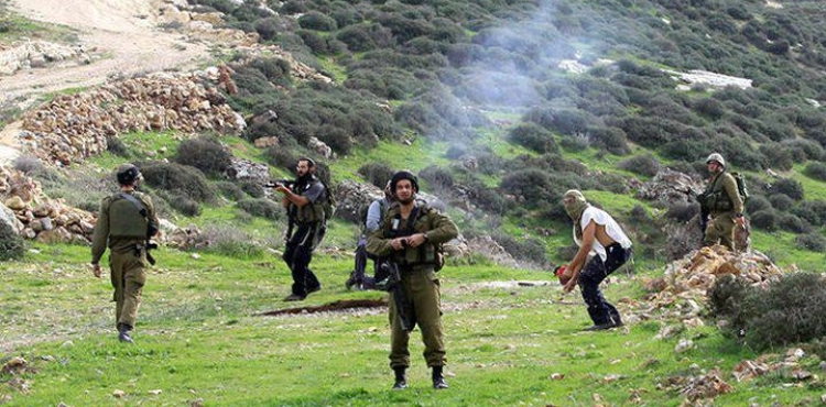 Settlers set fire to Madama land