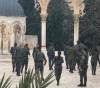 Dozens of settlers break into Al-Aqsa