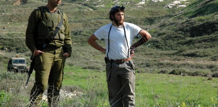 Within 3 months ... 62 hate crimes and the destruction of 250 olive trees by settlers
