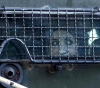 Abu Bakr: The year 2019, an unprecedented targeting of female prisoners by converting them to unfair administrative detention