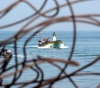 Occupation targets and pursues fishermen off the coast of Gaza
